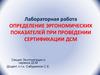 Определение эргономических показателей при проведении сертификации ДСМ