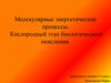 Молекулярные энергетические процессы. Кислородный этап биологического окисления