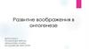 Развитие воображения в онтогенезе