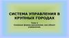 Сложные формы расселения, как объект управления в крупных городах. (Тема 2)