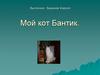 Мой кот Бантик