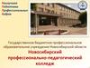 Новосибирский профессионально-педагогический колледж