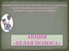 Акция «Белая полоса»