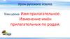 Имя прилагательное. Изменение имён прилагательных по родам