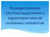 Функциональная система выделения и характеристика её основных элементов