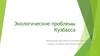 Экологические проблемы Кузбасса