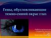 Гены, обусловливающие темно-синий окрас глаз