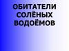 Обитатели солёных водоёмов