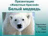 «Животные Красной Книги». Белый медведь
