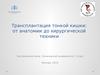 Трансплантация тонкой кишки: от анатомии до хирургической техники