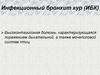 Инфекционный бронхит кур (ИБК)