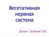 Вегетативная нервная система