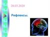 Рефлексы. Виды