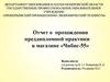 Отчет о прохождении преддипломной практики в магазине «Чибис-55»