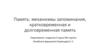 Память: механизмы запоминания, кратковременная и долговременная память
