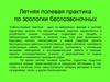 Фауна открытых биоценозов и агроценозов