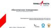 «Безопасное поведение». Дополнительная общеразвивающая программа