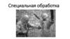Специальная обработка