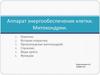 Аппарат энергообеспечения клетки. Митохондрии