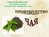 Технология сахара и сахаристых продуктов, чая