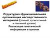 Структурно-функциональная организация наследственного материала. Реализация генетической информации в признак