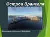 Остров Врангеля