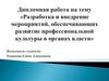 Разработка и внедрение мероприятий, обеспечивающих развитие профессиональной культуры в органах власти