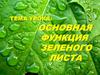 Основная функция зеленого листа
