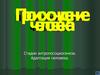 Происхождение человека. Стадии антропосоциогенеза. Адаптация человека