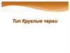 Тип круглые черви