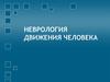 Неврологические основы движения человека