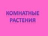 Комнатные растения