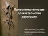 Палеонтологические доказательства эволюции