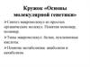 Кружок «Основы молекулярной генетики»