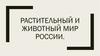 Растительный и животный мир России