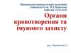 Органи кровотворення та імунного захисту