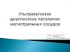 Ультразвуковая диагностика патологии магистральных сосудов