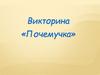 Викторина «Почемучка»
