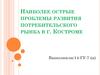 Наиболее острые проблемы развития потребительского рынка в г. Костроме