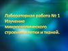 Изучение микроскопического строения клетки и тканей