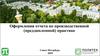 Оформления отчета по производственной (преддипломной) практике