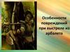 Особенности повреждений при выстреле из арбалета