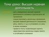 Высшая нервная деятельность