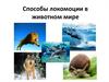 Способы локомоции в животном мире