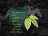 Дослідження росту вегетативних органів