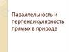 Параллельность и перпендикулярность прямых в природе