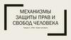 Механизмы защиты прав и свобод человека