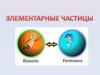 Элементарные частицы