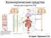 Холинергические средства. Лекция для студентов СПО