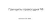 Принципы правосудия РФ. Принцип законности